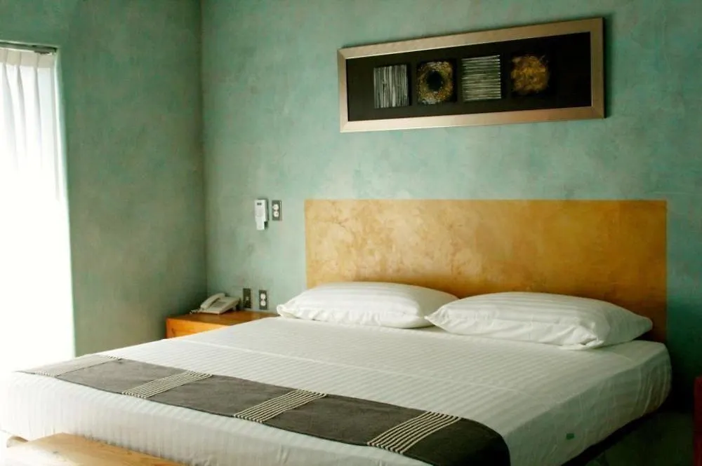 ***  Hotel Rio Malecon Puerto Vallarta Mexique