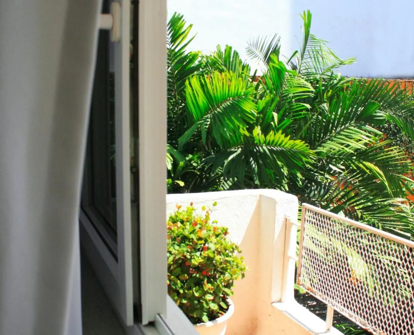 Hotel Rio Malecon Puerto Vallarta